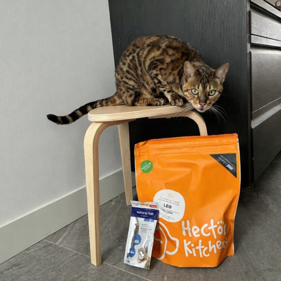 Edne con su gato y sus productos Hector Kitchen