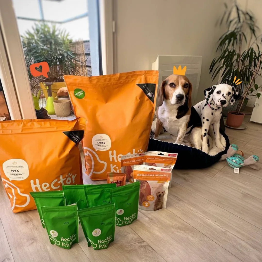 Deux chiens avec leurs produits Hector Kitchen a la maison